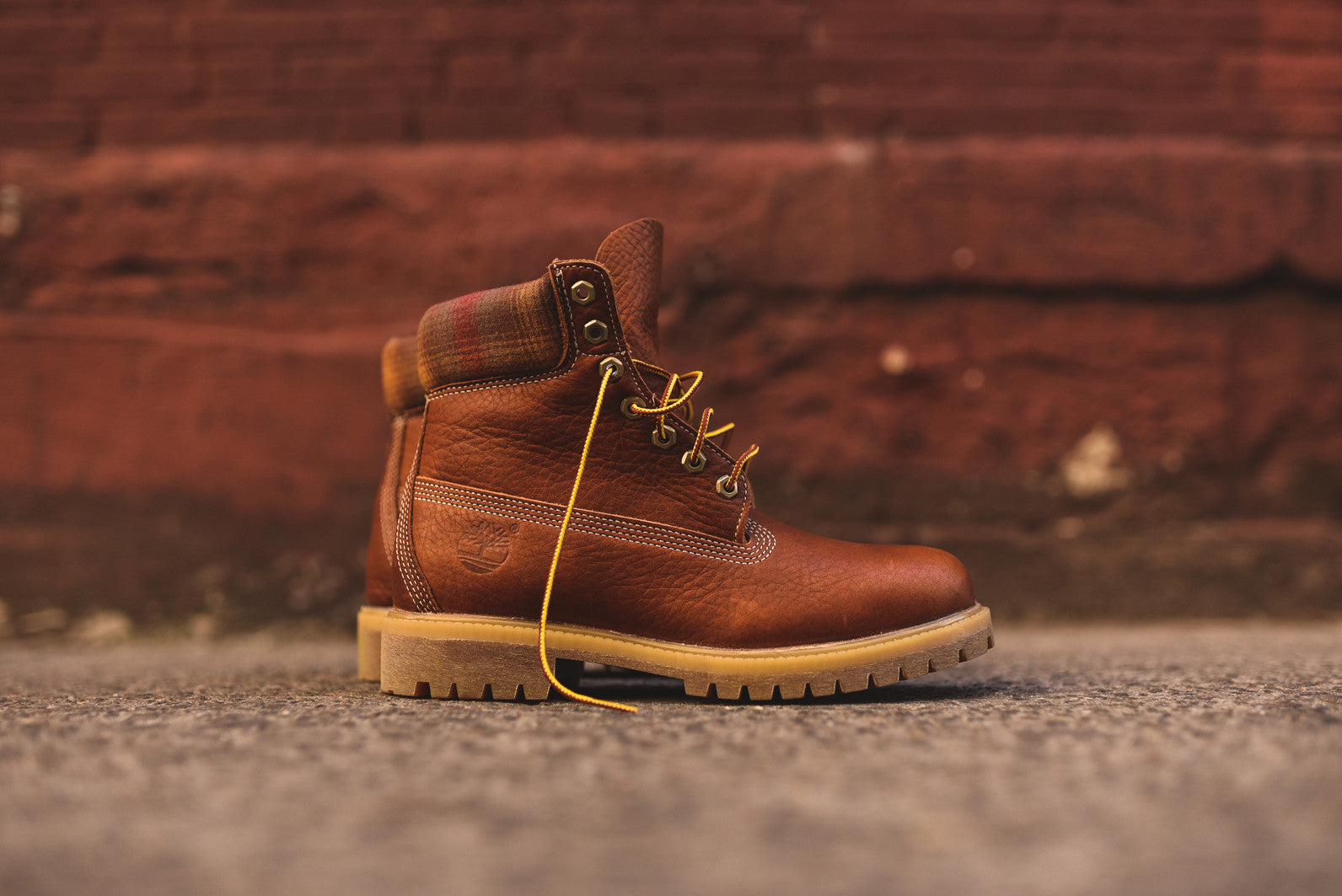 Timberland 6" Pendleton Boot - Claypot