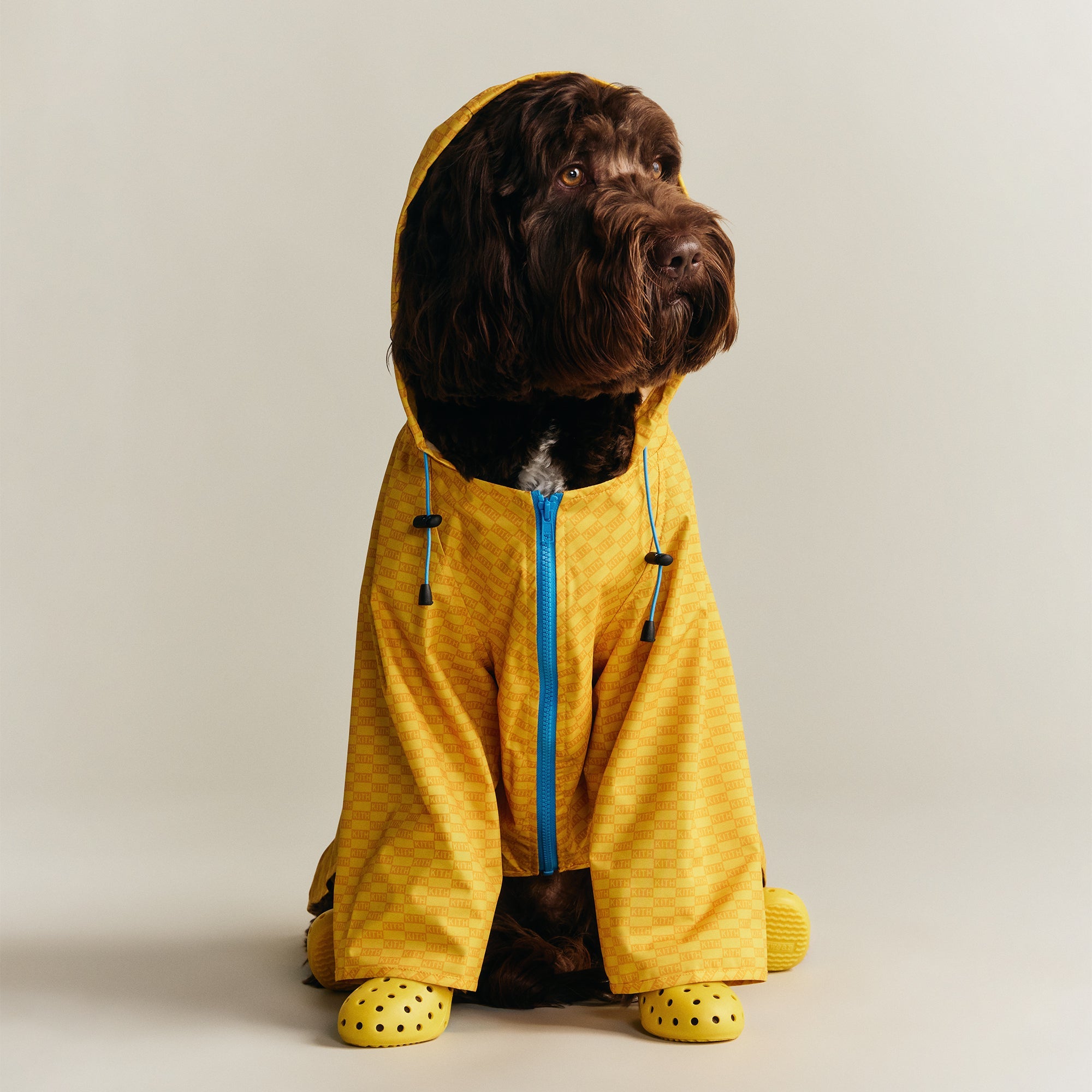 Kith for wagwear Nylon Rainbreaker - Yellow – Kith UK