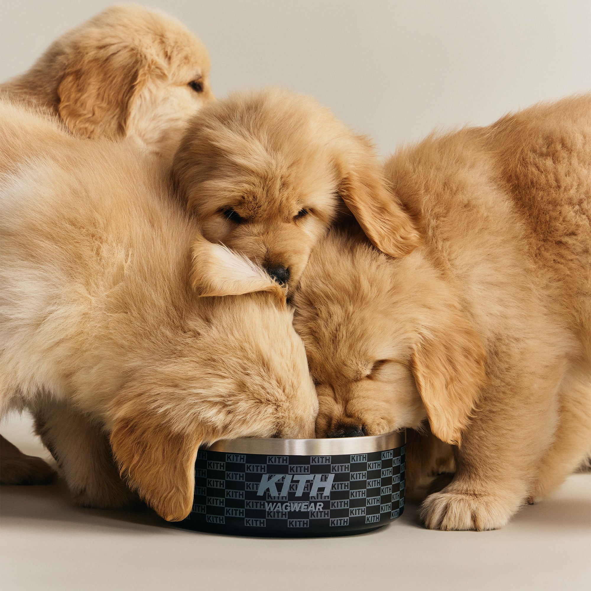 Kith for wagwear Metal Dog Bowl - Black – Kith UK