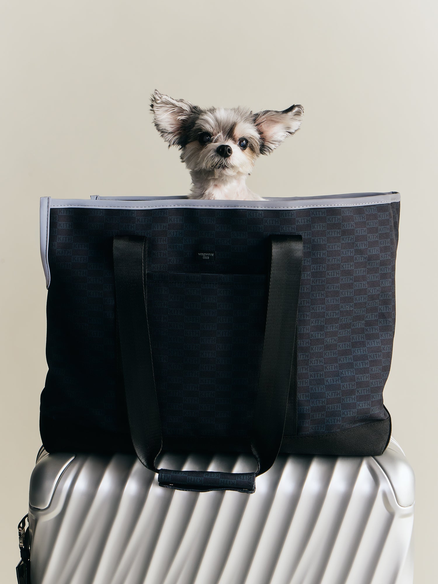 Kith for wagwear – Kith UK