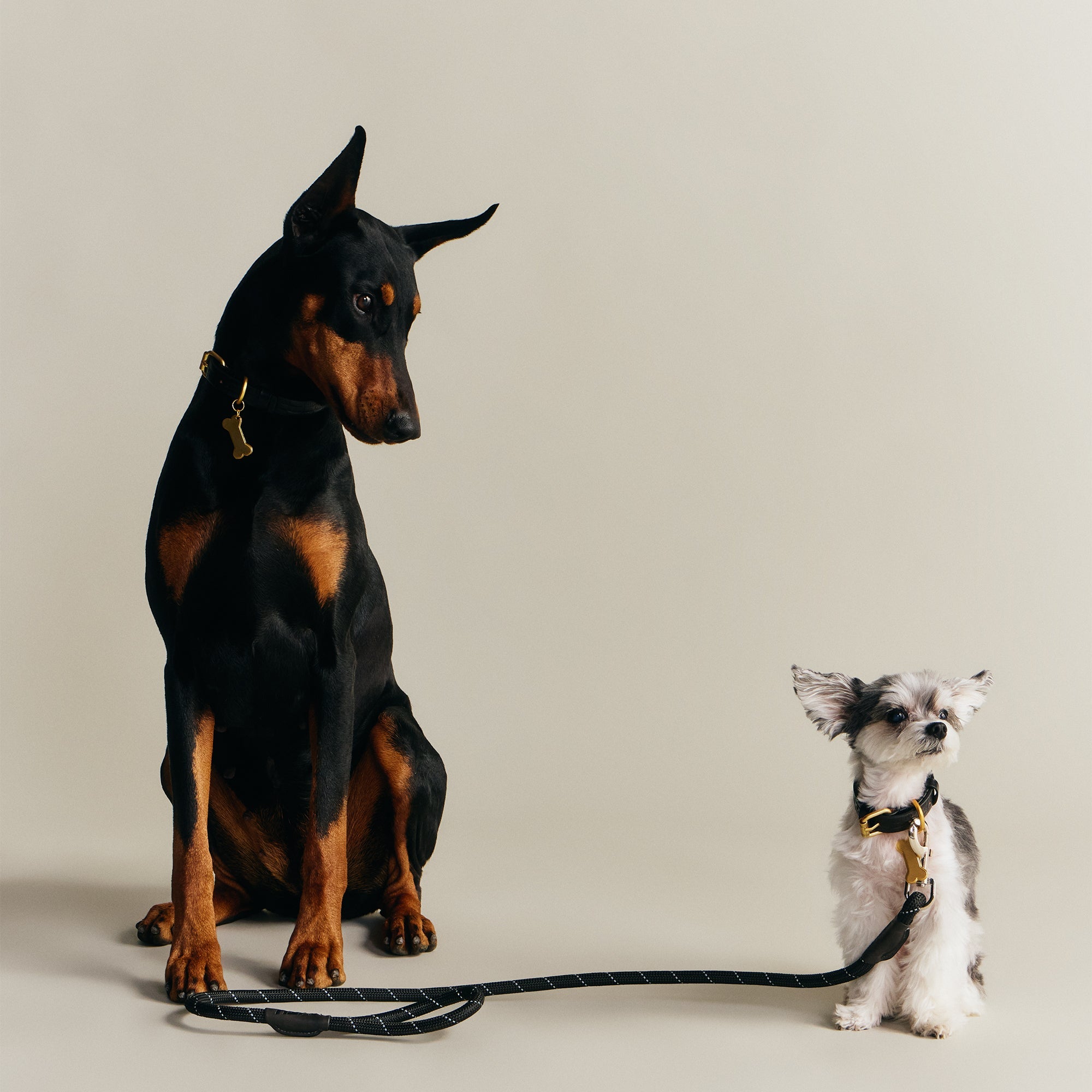 Kith for wagwear Rope Leash - Black – Kith UK
