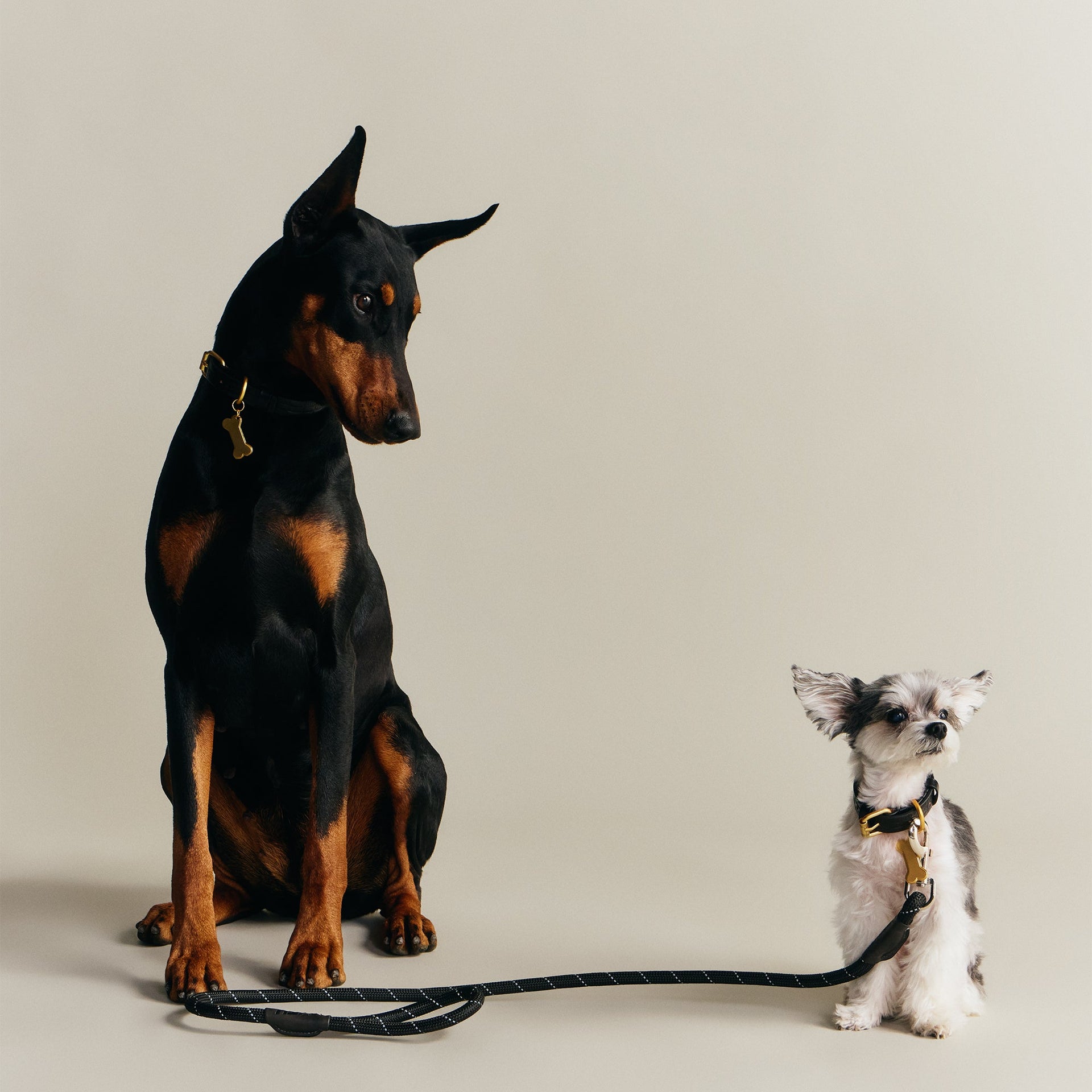 Kith for wagwear Rope Leash - Black