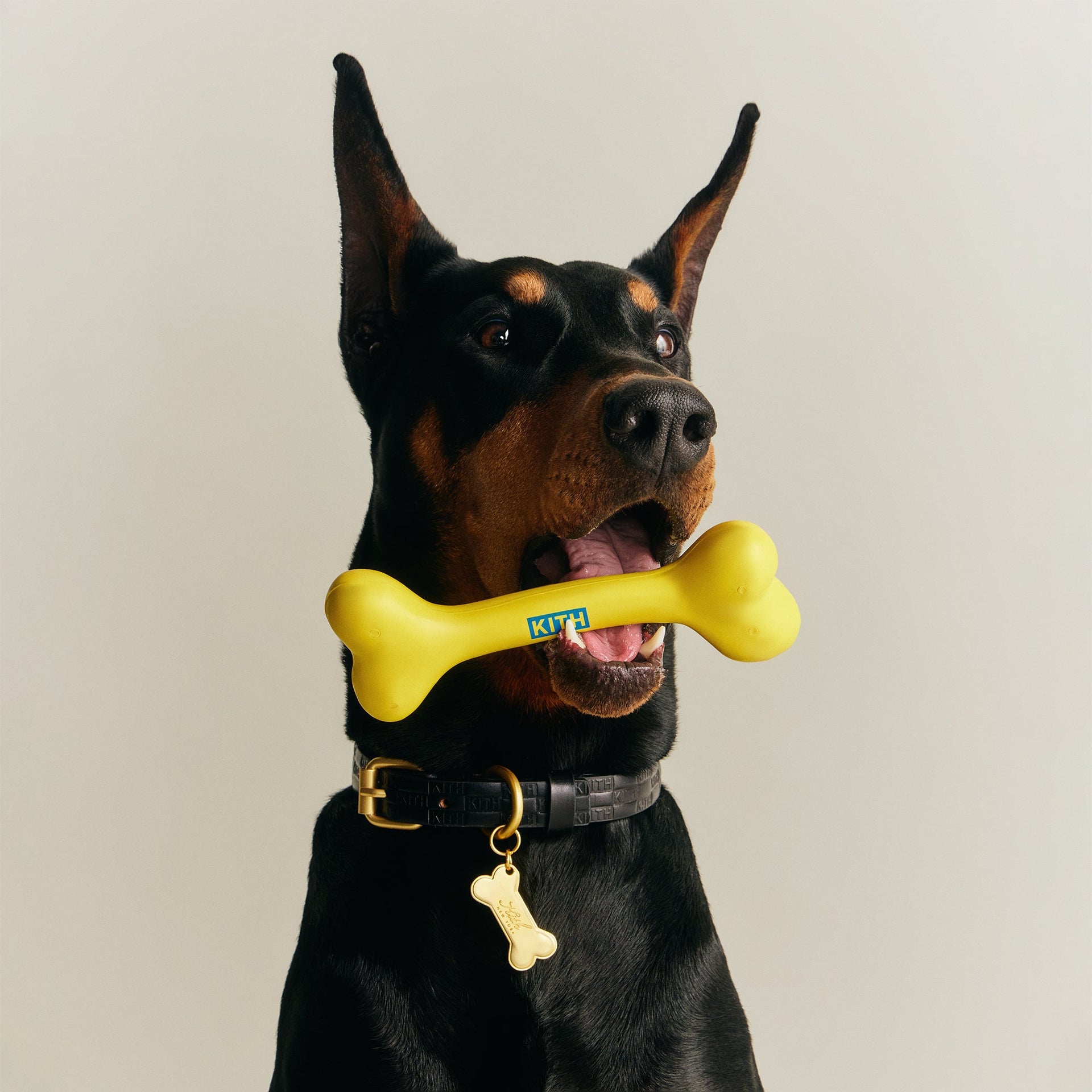 Kith for wagwear Bone - Yellow