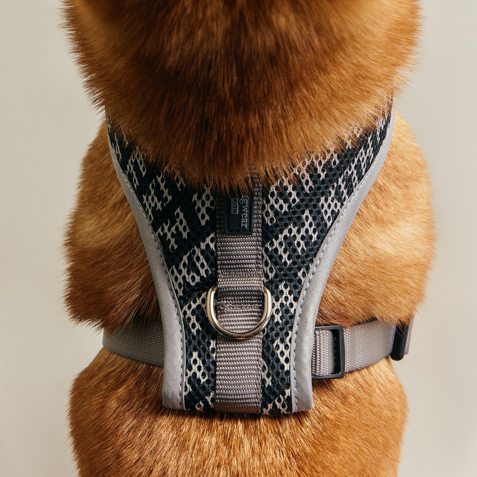 Kith for wagwear Padded Harness - Black – Kith UK