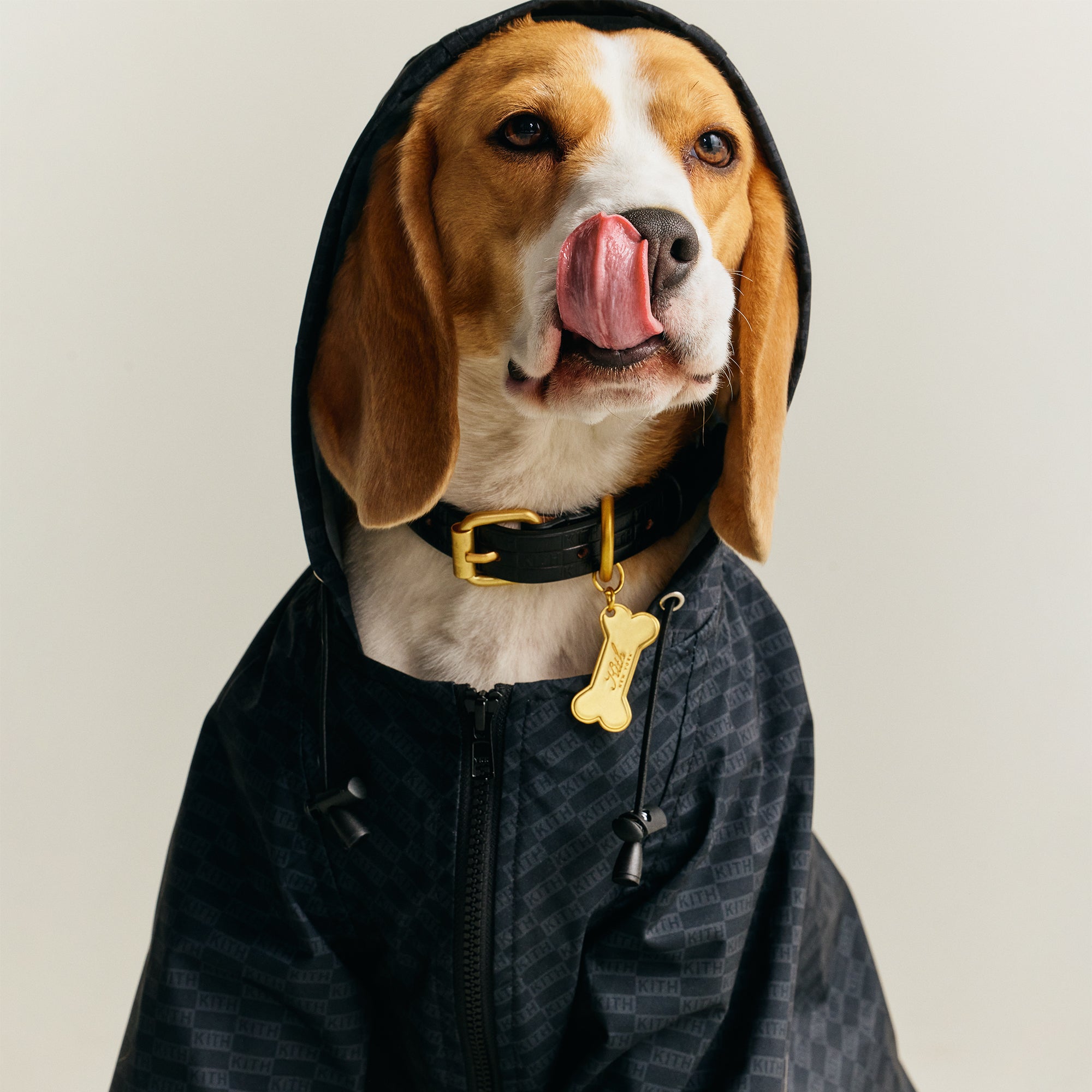 Kith for wagwear Nylon Rainbreaker - Black – Kith UK