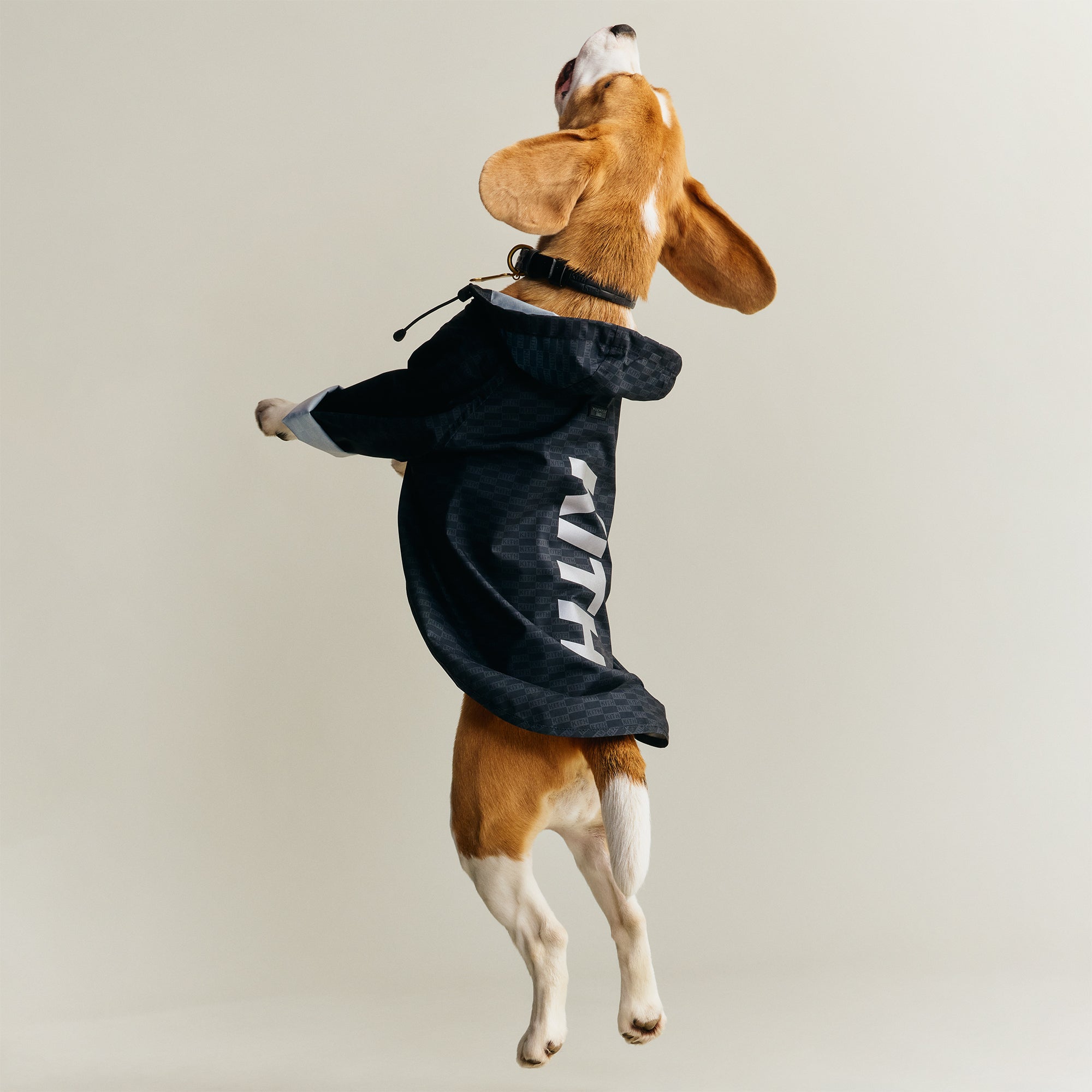 Kith for wagwear Nylon Rainbreaker - Black – Kith UK