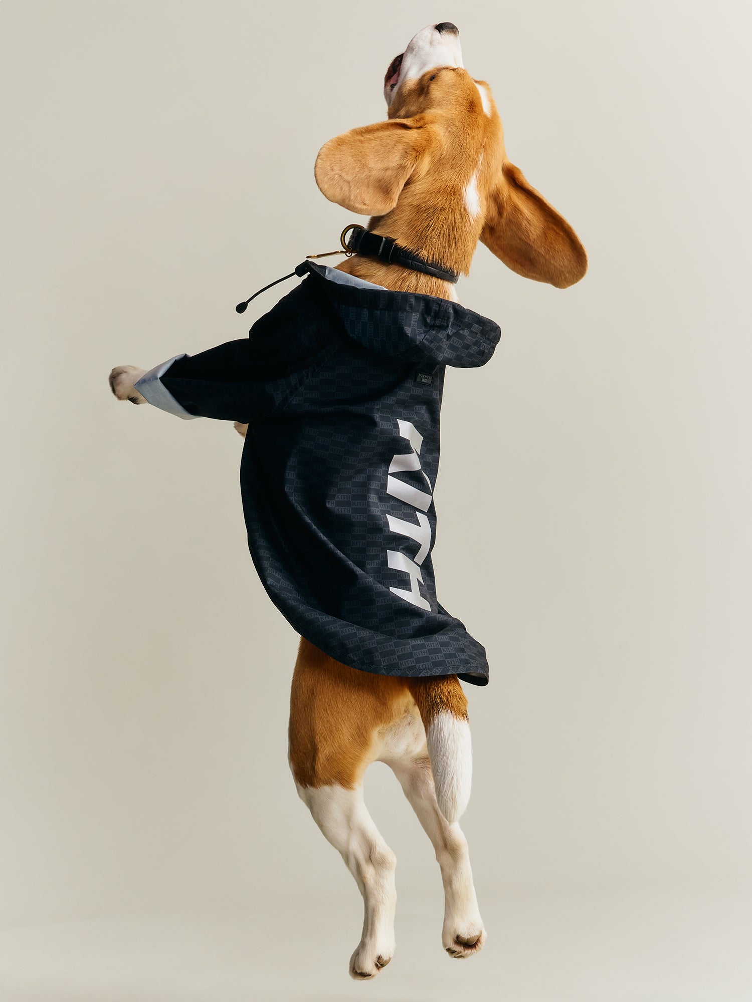 Kith for wagwear – Kith UK