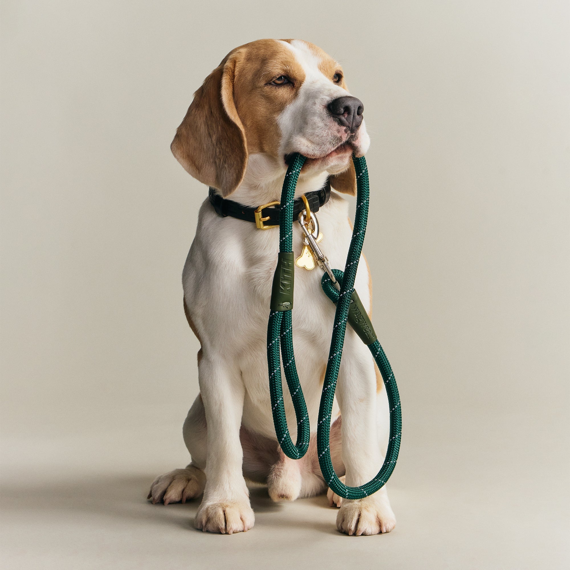 Kith for wagwear Rope Leash - Stadium – Kith UK