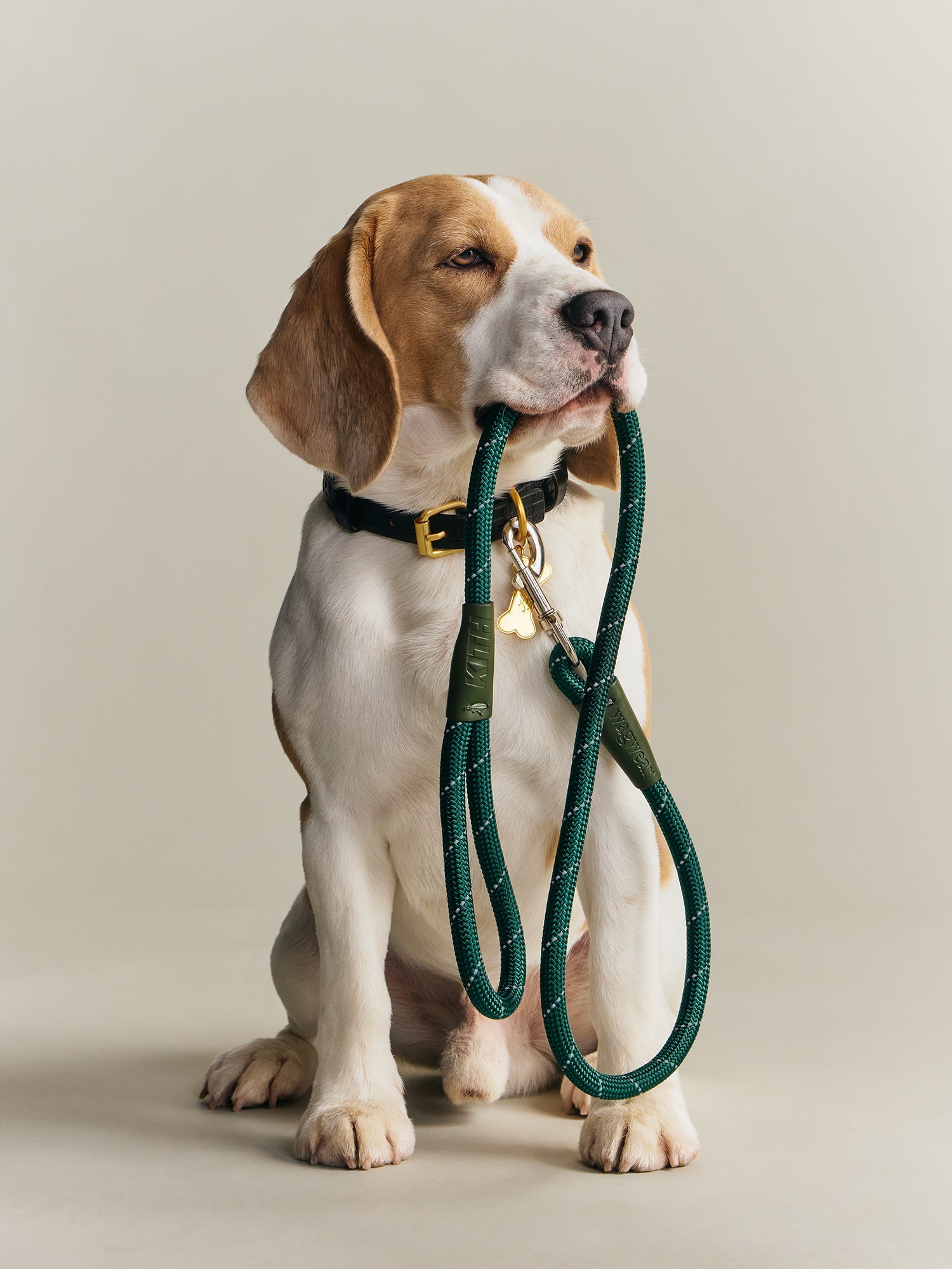 Kith for wagwear – Kith UK