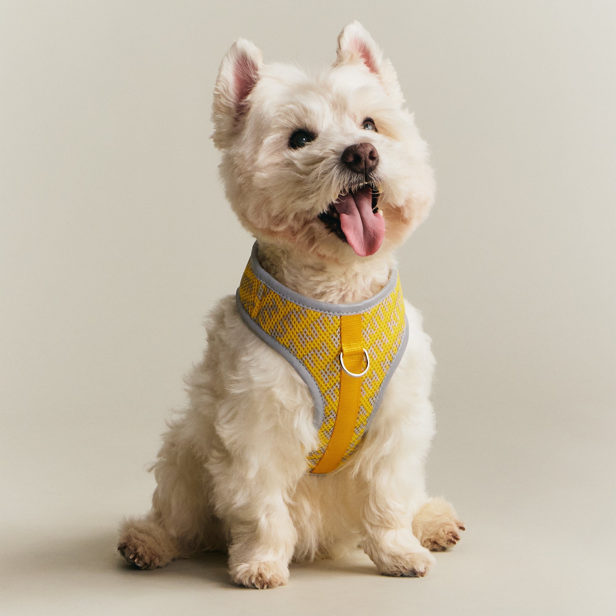 Kith for wagwear Padded Harness - Yellow – Kith UK
