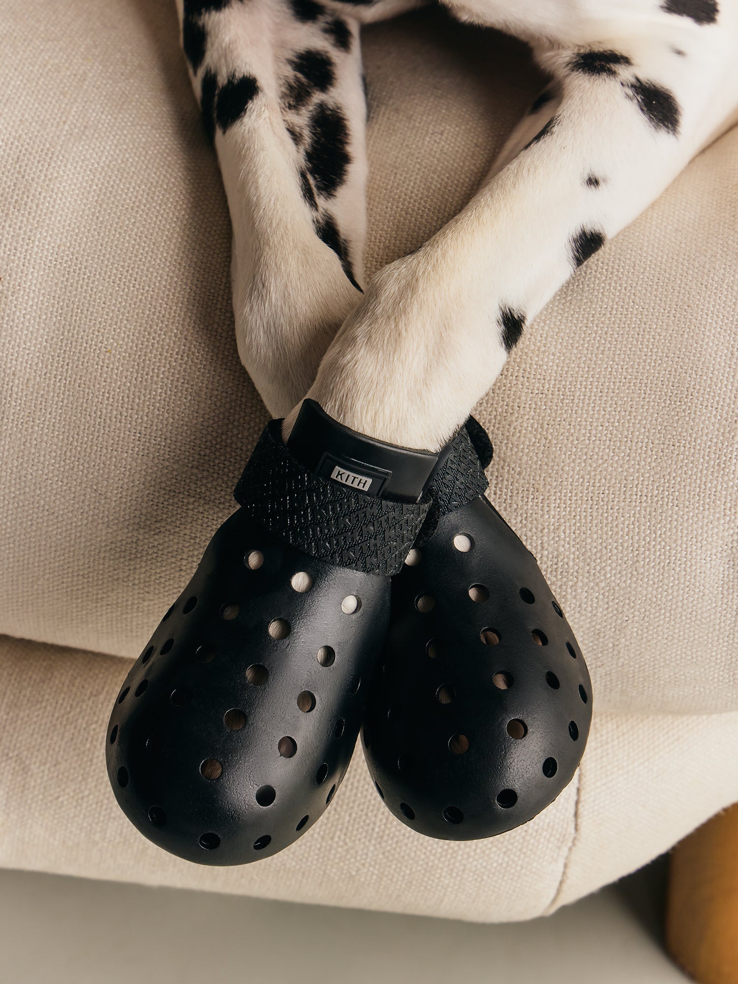 Kith for wagwear – Kith UK