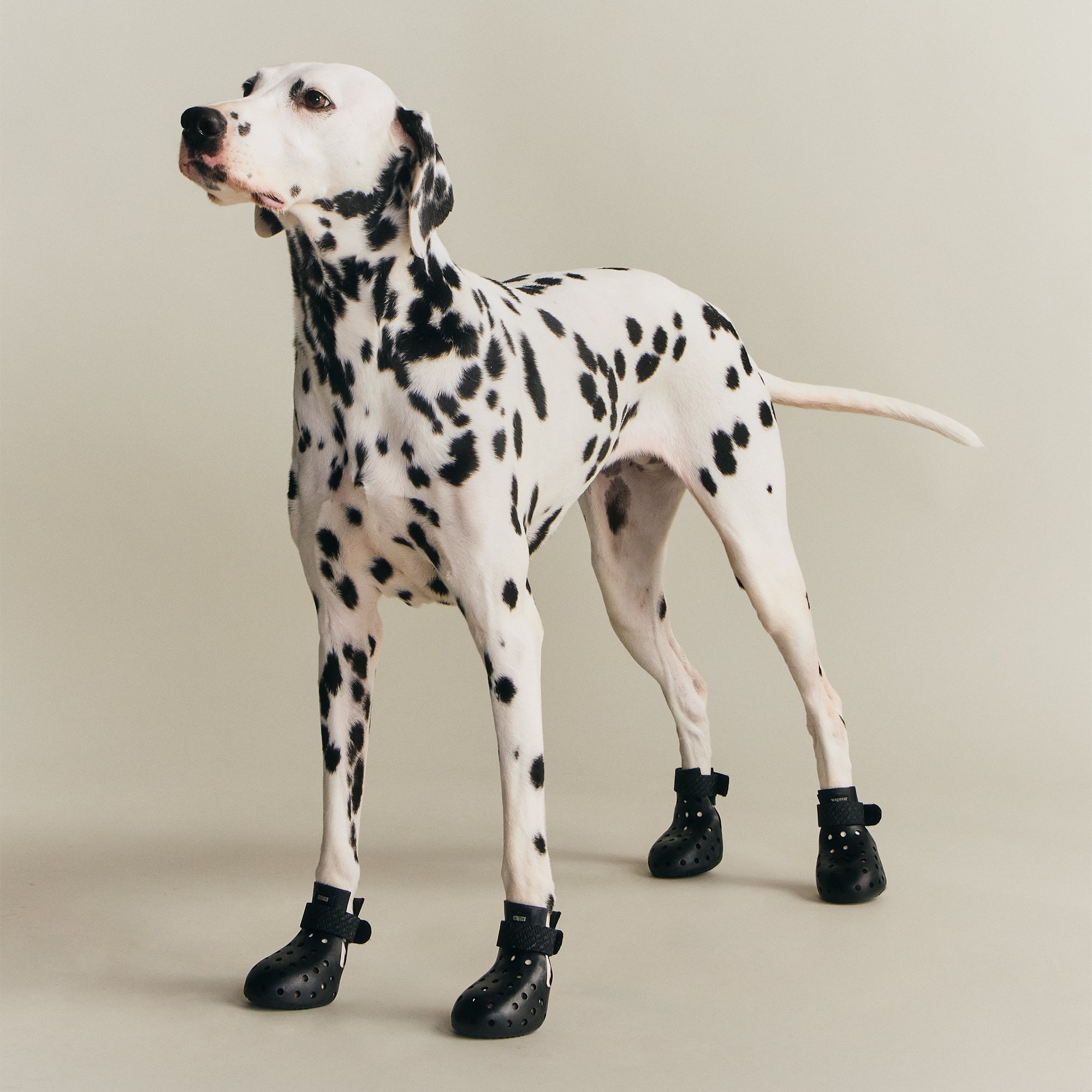 Kith for wagwear WagWellies Mojave - Black – Kith UK