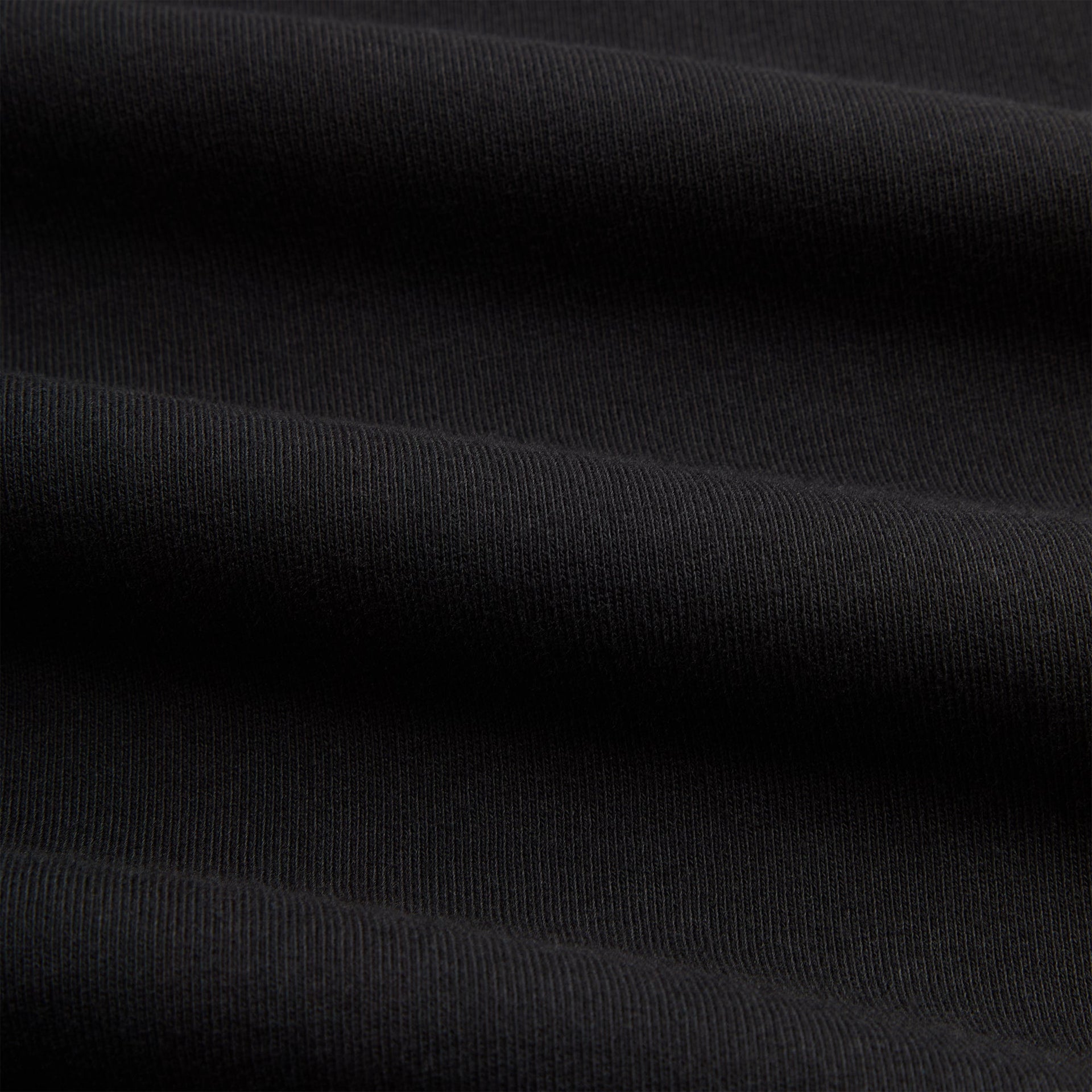 Kith & Kin Crest Gilded Crest Collared Rugby - Black