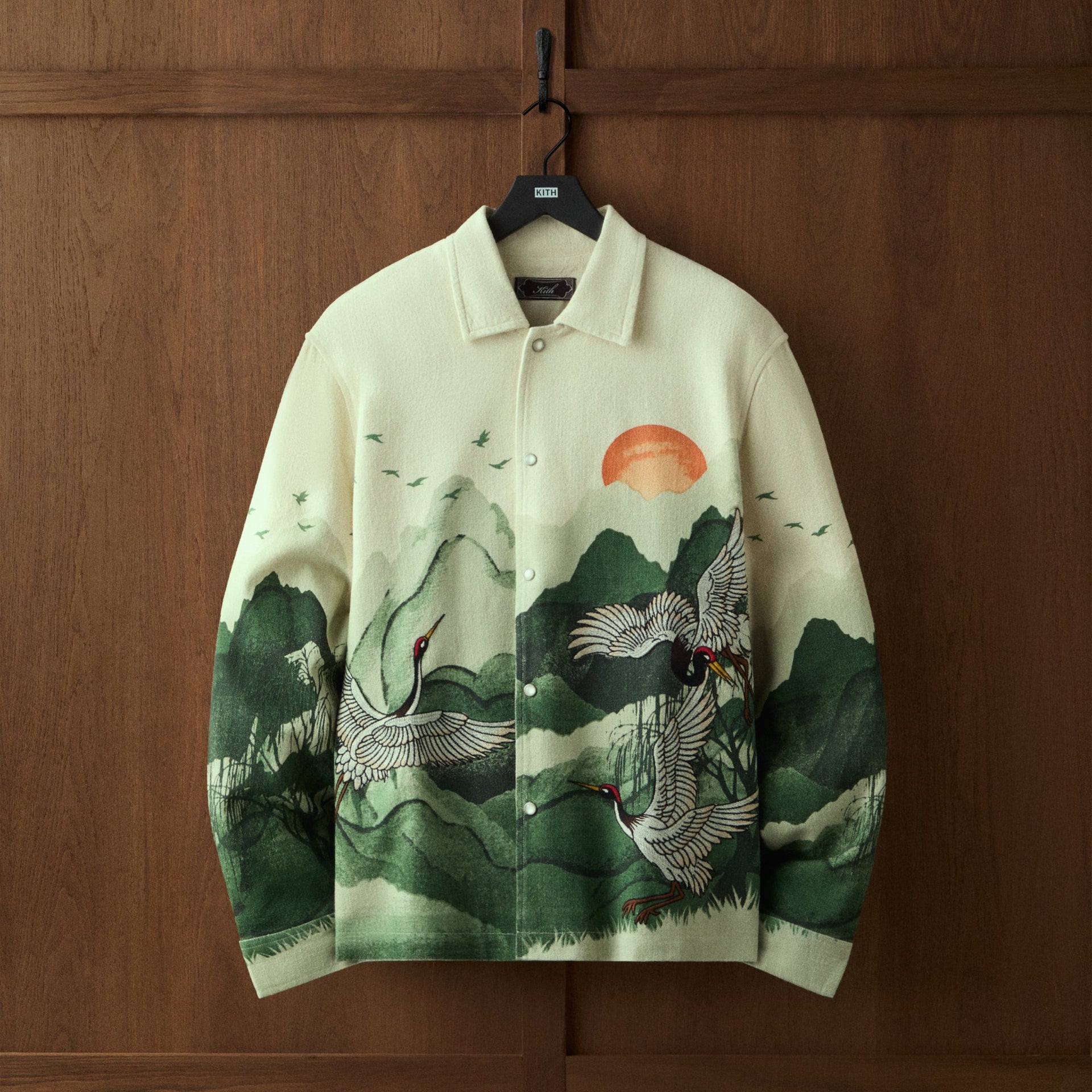 gid://shopify/MediaImage/46758493815060